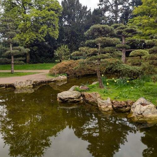 Photo #13069325