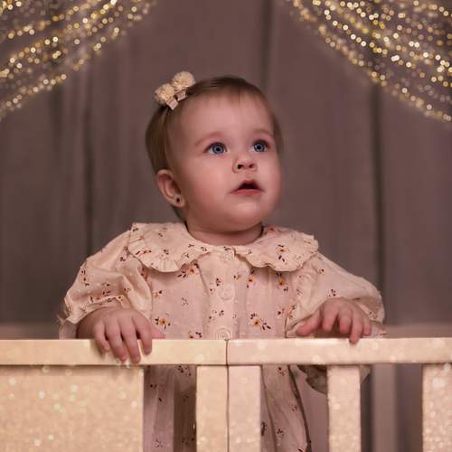 Photo #13069435