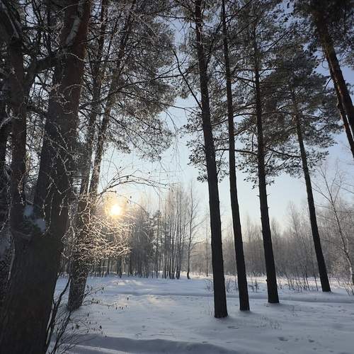 Зимний пейзаж