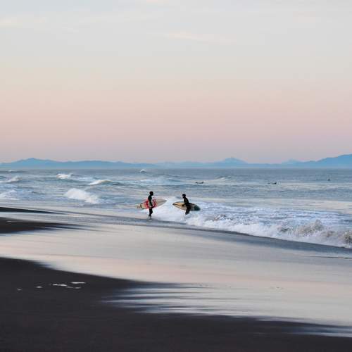 Photo #13069450
