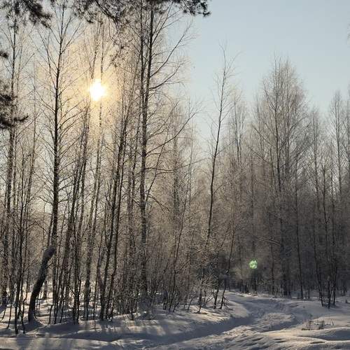 Photo #13069485