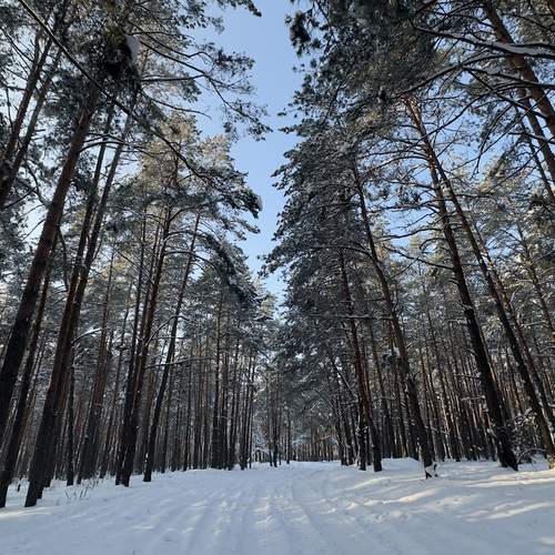 Photo #13069486