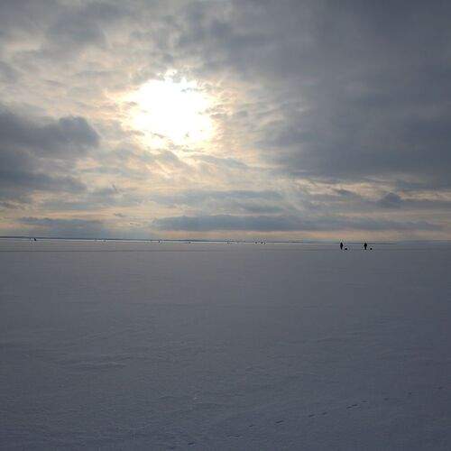 Photo #13069545