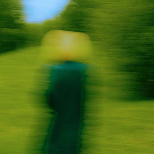 Photo #13069546