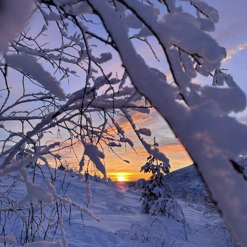 Фотография #13069595