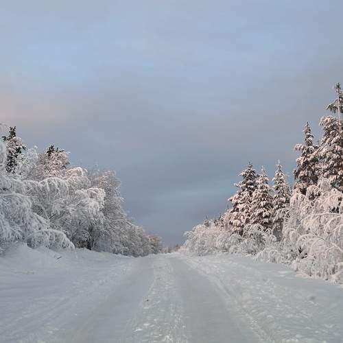 Фотография #13069597