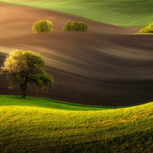 Somewhere in the field