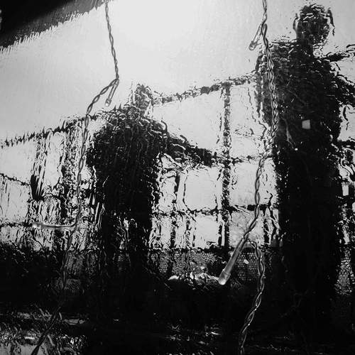 Photo #13069739