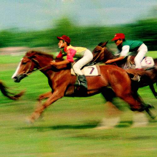 Horse racing