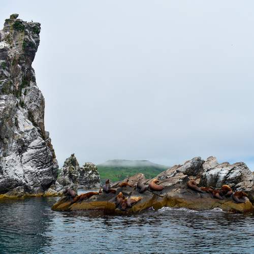 Photo #13069888