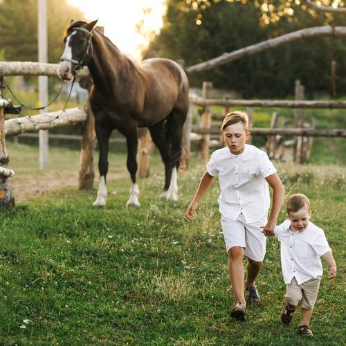 Photo #13070026