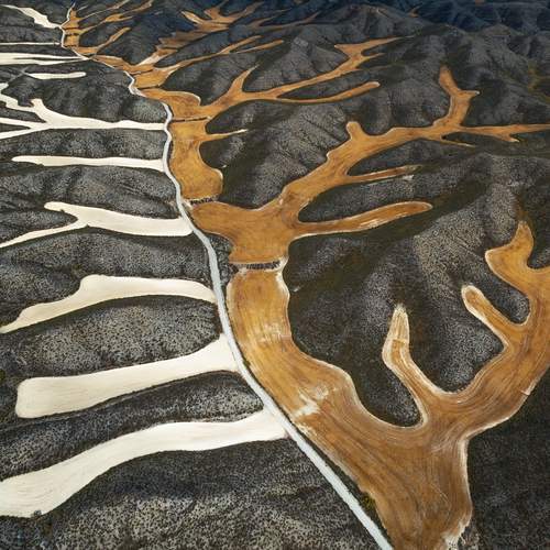 Bones of Earth
