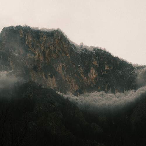 Photo #13070145