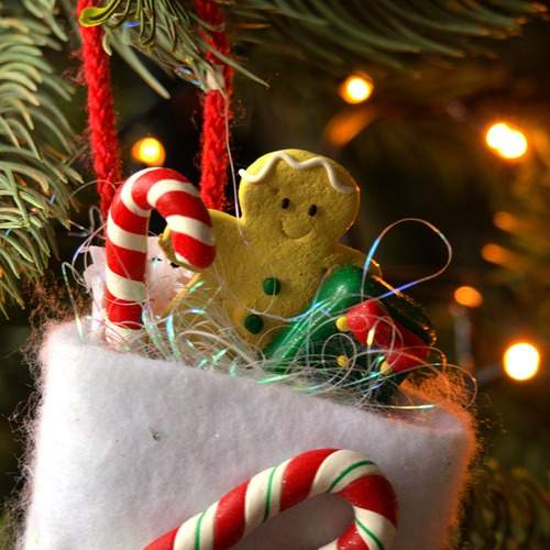 Photo #13070146