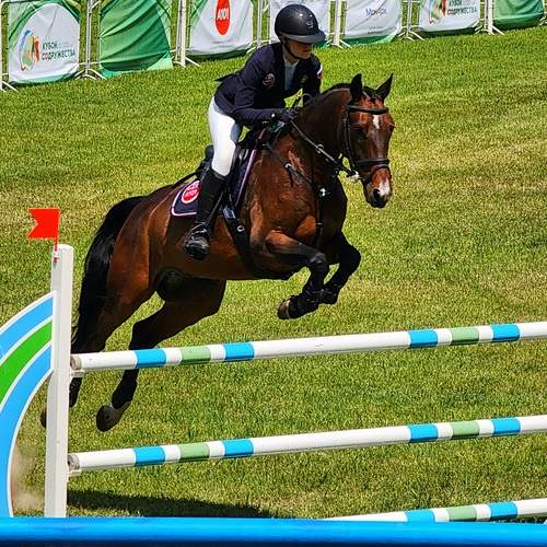 Photo #13070162