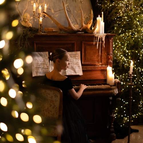 Photo #13070304