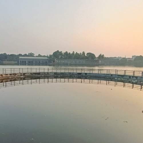 Photo #13070424