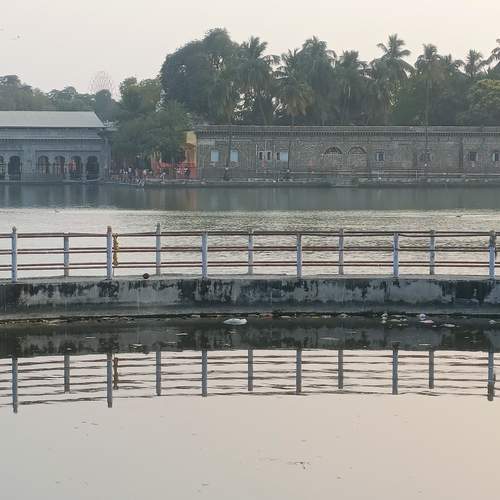 Photo #13070465