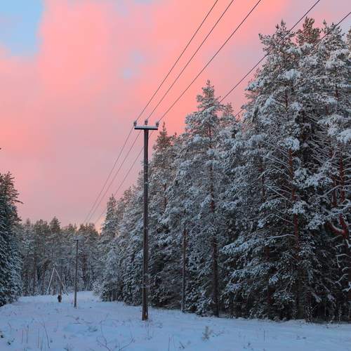 Photo #13070602
