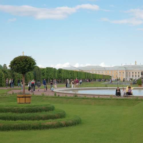 Photo #13070620