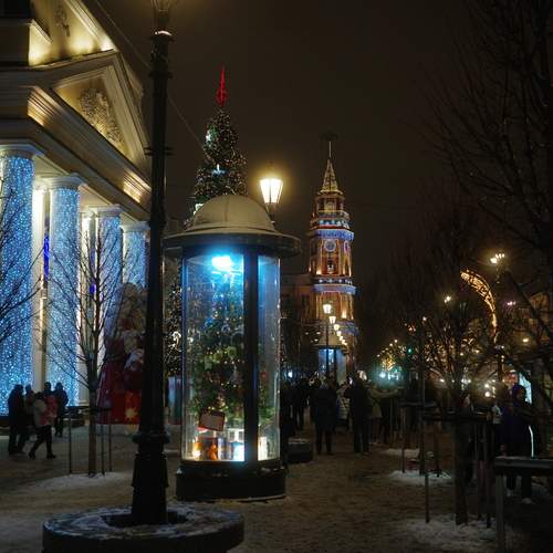 Photo #13070648