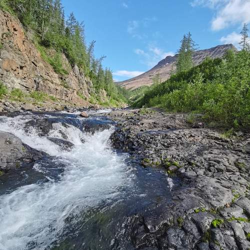 Photo #13070778