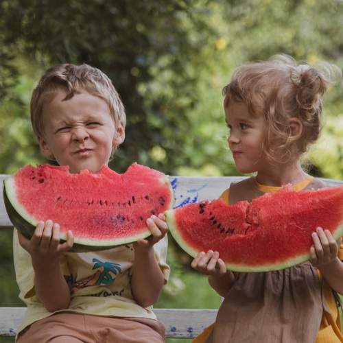 Photo #13071018
