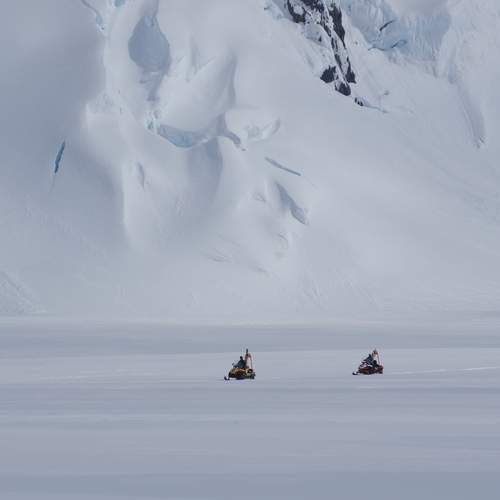 Photo #13071136