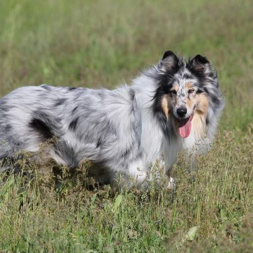 Photo #13071148