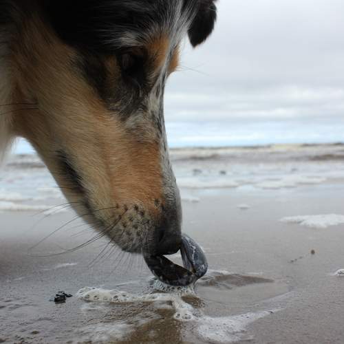 Photo #13071149