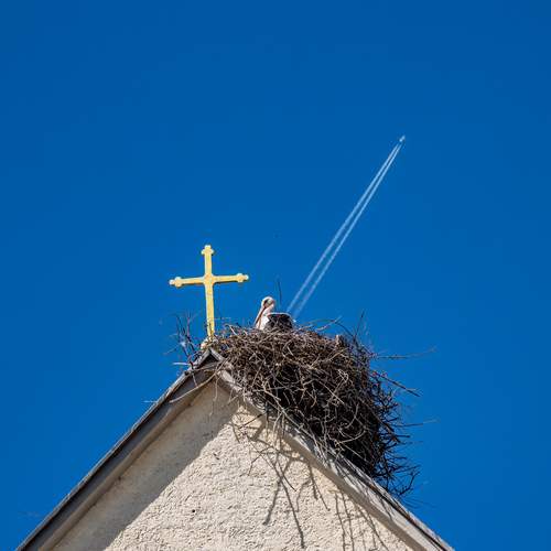 Photo #13071152