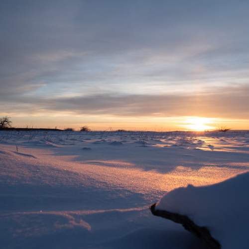 Photo #13071326
