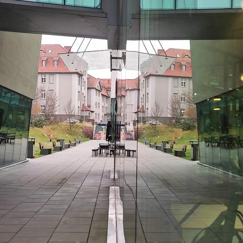 looking-glass world