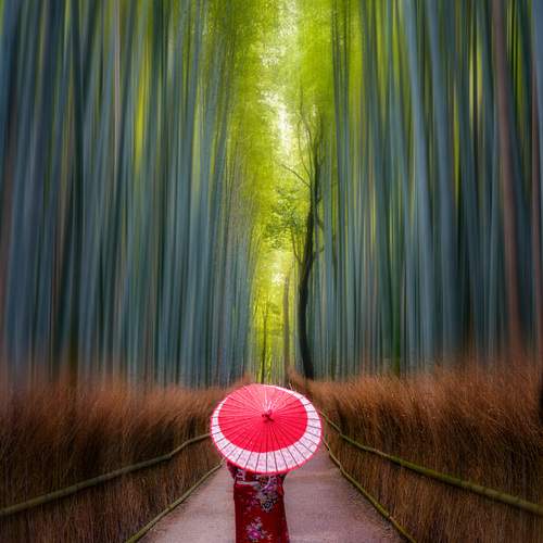 Фотография #13071522