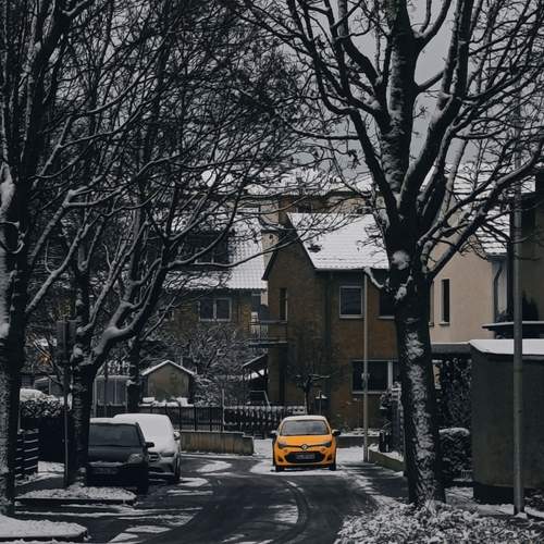 Photo #13071530