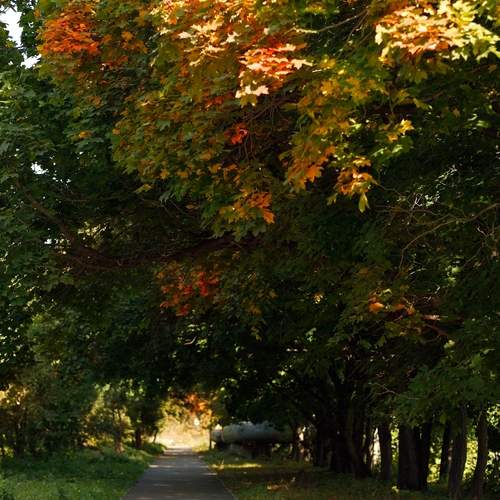 Photo #13071539