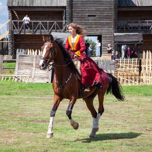 Photo #13071621