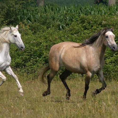 Фотография #13071626