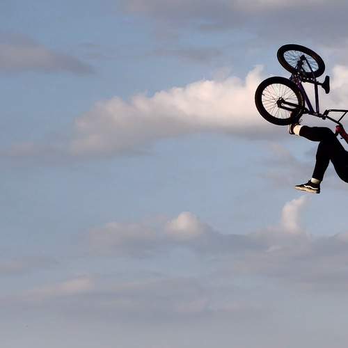 Le roi de la voltige