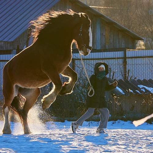 Photo #13071778