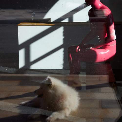 Photo #13071798