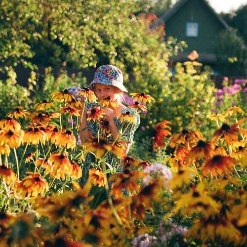 Photo #13071972