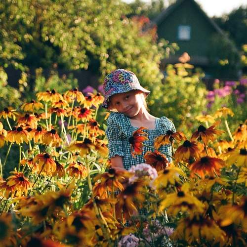 Photo #13071973