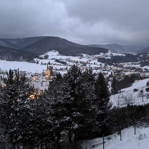 Photo #13072207