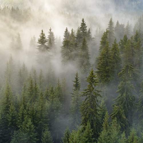 Photo #13072444