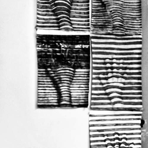 Photo #13072579