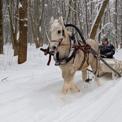 Photo #13072591