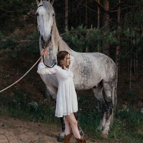 Photo #13072640