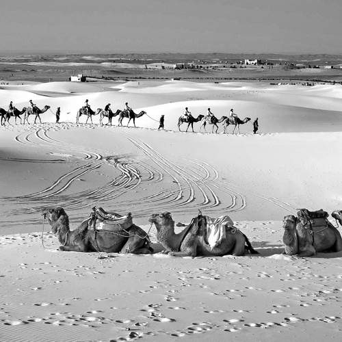 На краю Сахары