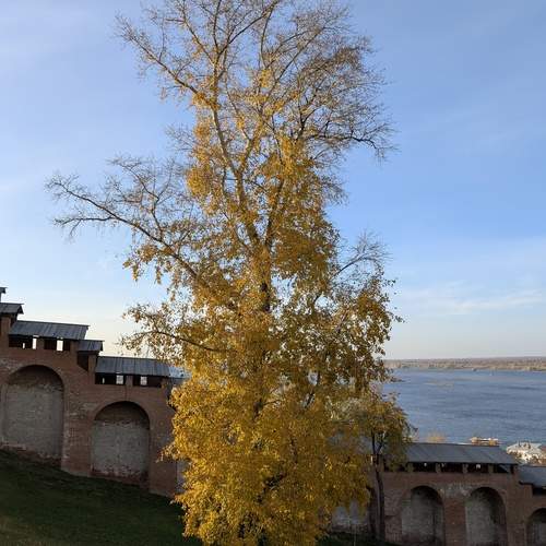 Photo #13072782